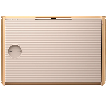 Beosound Level Speaker Gold Tone Alu (Cover Light Oak)