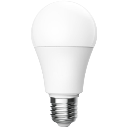 LED Bulb T