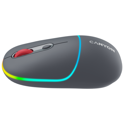 CANYON mouse MW-22 2in1 BT/ Wireless Dark Grey