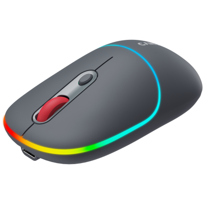 CANYON mouse MW-22 2in1 BT/ Wireless Dark Grey