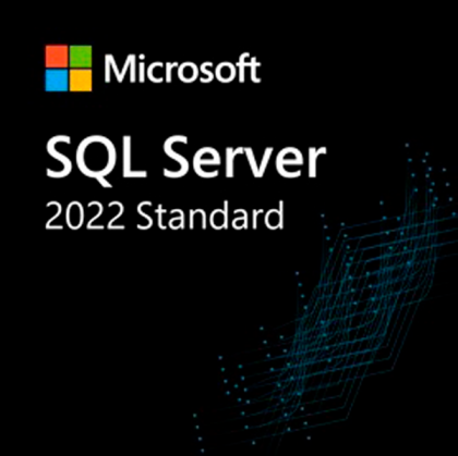 SQL Svr Standard Edtn 2022 English ORY OEI DVD