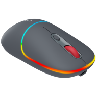 CANYON mouse MW-22 2in1 BT/ Wireless Dark Grey