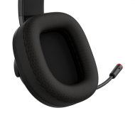 CANYON headset EGO GH-16 3in1 2.4Ghz+BT Black