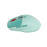 CANYON mouse MW-26 LCD Silent Dual Mode Wireless Green