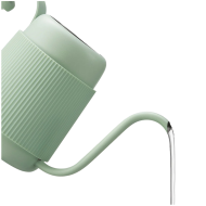 BUYDEEM Gooseneck Pour Over Coffee Kettle, model CD2006, color Cozy Greenish