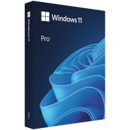 Microsoft Win Pro N 11 64-bit All Languages Online Product Key License 1 License Downloadable ESD NR
