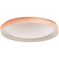 Aqara Ceiling Light T1M: Model No: CL-L02D